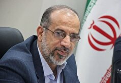 میرمحمدی: ظلم‌ستیزی و احیای ولایت‌پذیری از آثار راهپیمایی اربعین است