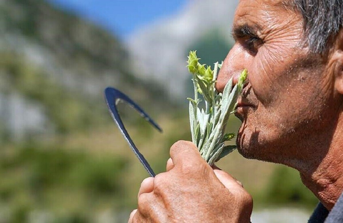 علاقه شما به این بو به معنی کمبود مواد معدنی در بدن شماست