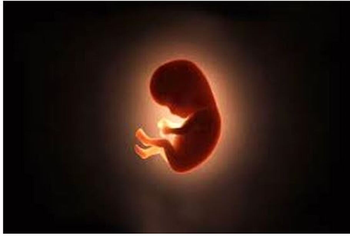 نگرانی‌ها درباره کاهش قدرت باروری زنان افزایش یافت