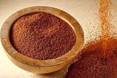 خاکشیر دوستدار سیستم گوارش شما!