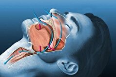 افزایش میانگین دمای جهانی چه تاثیری بر سلامت انسان دارد؟