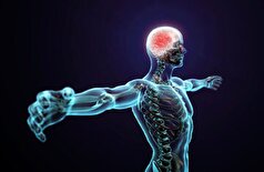 قیمت ساخت یک انسان چقدر است؟