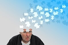 PNAS: مولکول پیشرفته نویدبخش معکوس کردن علائم آلزایمر است