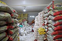 ۷۳۳ میلیارد تومان ارزش کالاهای احتکار شده در سطح کشور