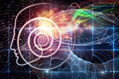 خودآگاهی در انسان چگونه شکل میگیرد؟