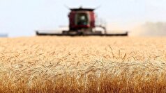 قطعی برق تولید محصولات اساسی را یک سوم کاهش داد