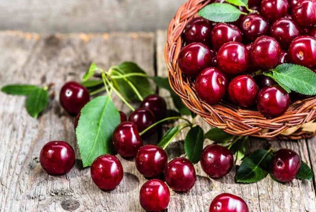 معرفی ۷ خاصیت اعجاب انگیز «گیلاس»، از بهبود خواب تا درمان نقرس!