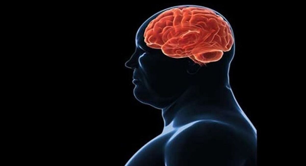 چاقی و اضافه وزن چه تاثیراتی بر عملکرد مغز می‌گذارد؟