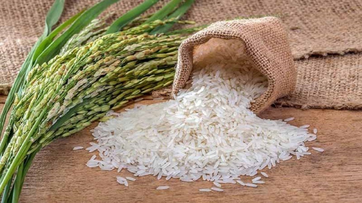 نبود آمار صحیح و قابل اتکا عامل اصلی نوسانات بازار برنج