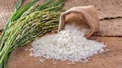 نبود آمار صحیح و قابل اتکا عامل اصلی نوسانات بازار برنج
