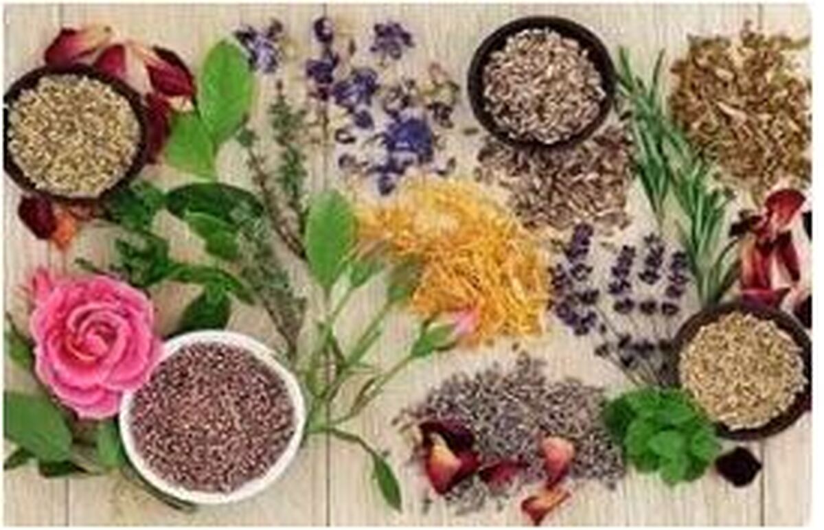 چه گیاهی ضد تعریق هستند؟