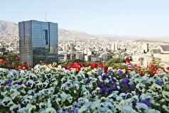 پل زدن ارزش‌ها از روی پول
