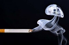 ترک دود| روشی موثر برای کاهش خطر ابتلا به سرطان