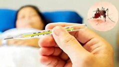 جزئیات ویروسی که به تازگی جهان را درگیر کرده است!