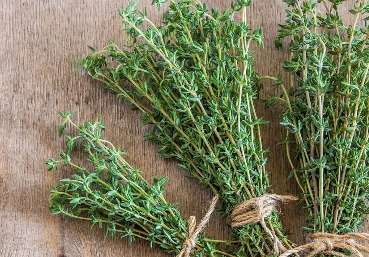پیشنهاد معجزه آسای طب سنتی برای درمان سرفه‌های آزار دهنده