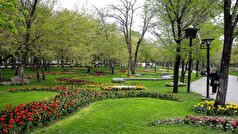 حضور در فضا‌های سبز باعث رشد بهتر مغز کودکان می‌شود