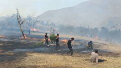 مهار آتش سوزی در مناطقی از خلخال و کوثر