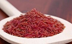 آموزش گام به گام پخت صحیح برنج قرمز با خواص فراوان