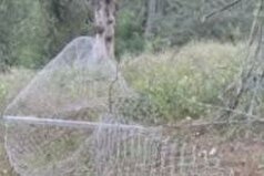 آزادسازی اراضی ملی در شهرستان بابل