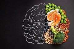 تغذیه سالم در سن بالای ۶۰ سال به تقویت مغز کمک می‌کند