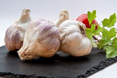 پیشگامان داروشناسی: سیر به عنوان سلاحی قدرتمند علیه تصلب شرایین