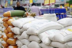 توزیع بیش از ۲ هزار و ۶۰۰ تن اقلام اساسی میان مواکب اربعینی در خوزستان