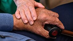 پزشکان فهرستی از غذا‌های مورد نیاز برای پیشگیری از زوال عقل ارائه داده‌اند