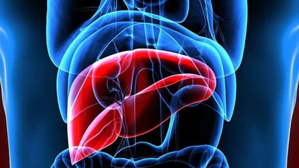 تغذیه مناسب برای تقویت سلامت کبد