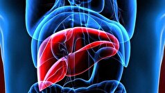 تغذیه مناسب برای تقویت سلامت کبد