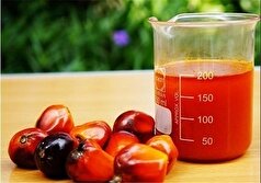 ده تا از خطرناکترین غذا‌هایی که نمیدانستید!