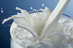 فواید شگفت‌انگیز شیر بز در مبارزه با آتروفی عضلانی