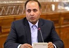 جزو ۵ کشور برتر دنیا در تولید دام سنگین هستیم