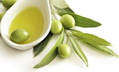 مصرف منظم روغن زیتون در صبحانه چه خواصی برای بدن دارد؟