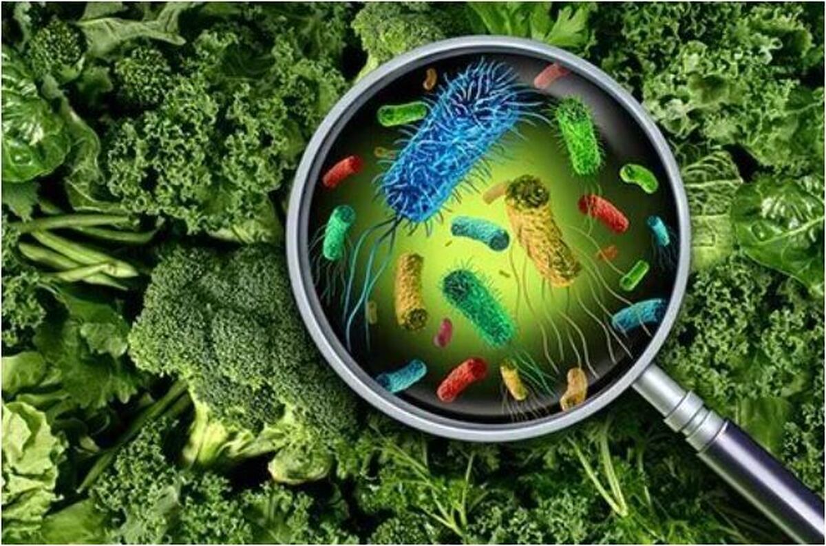 نشانه‌های مسمومیت غذایی را بیشتر بشناسید