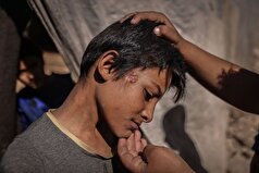 دانشمندان سرانجام معمای منشأ همه‌گیری‌های وبا را حل کردند