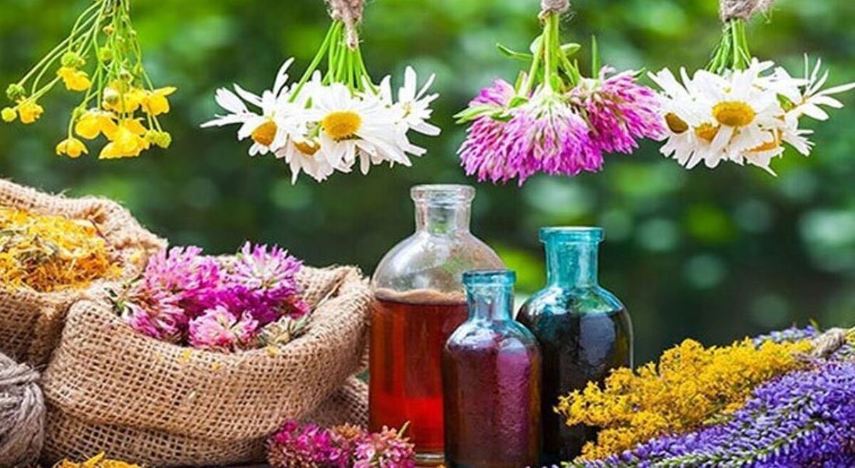 به کمک این گیاهان دارویی حافظه تان را تقویت کنید