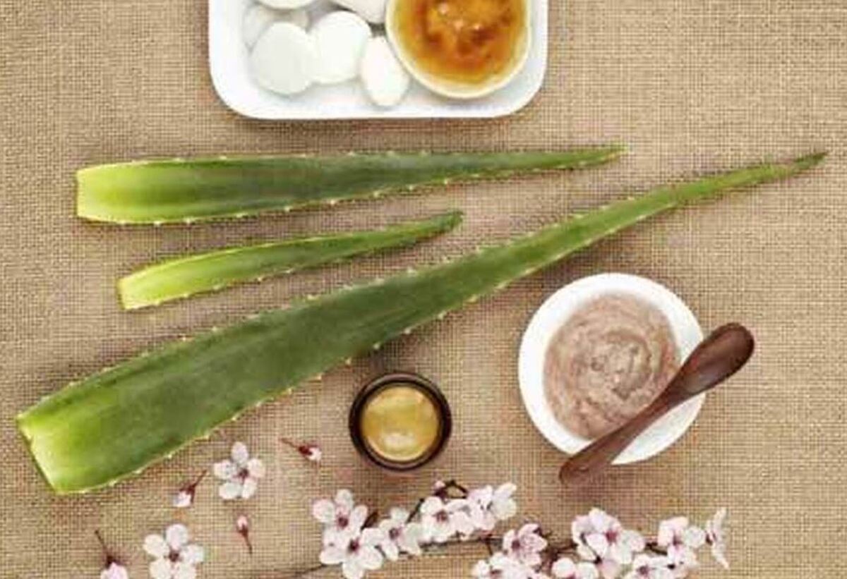پیشنهاد موثر طب سنتی برای درمان جوش و لک‌های پوستی