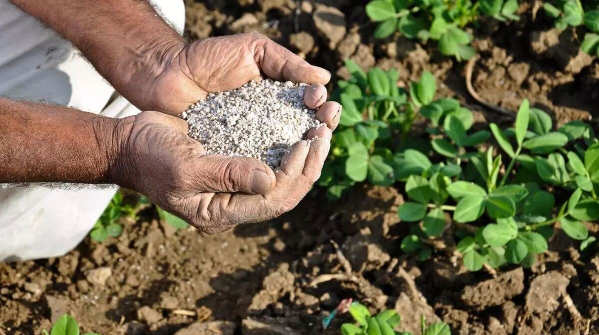 تولید کود بیولوژیک برای مقاوم کردن گیاه در برابر شوری و خشکی!