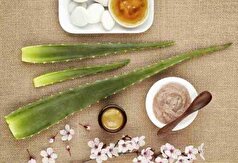 پیشنهاد موثر طب سنتی برای درمان جوش و لک‌های پوستی