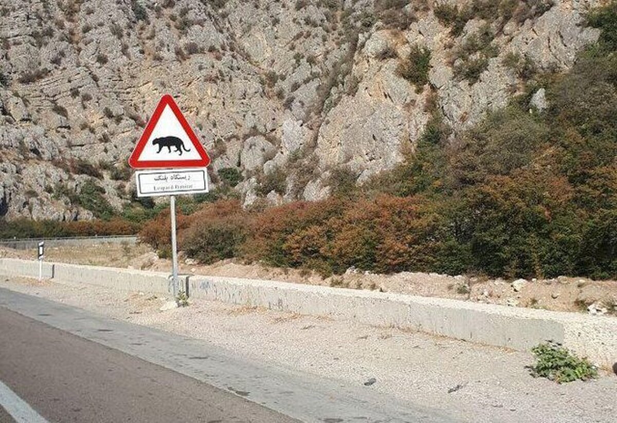 اساسنامه شورای راهبری پارک ملی گلستان باید به نفع مردم تغییر یابد