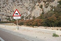 اساسنامه شورای راهبری پارک ملی گلستان باید به نفع مردم تغییر یابد