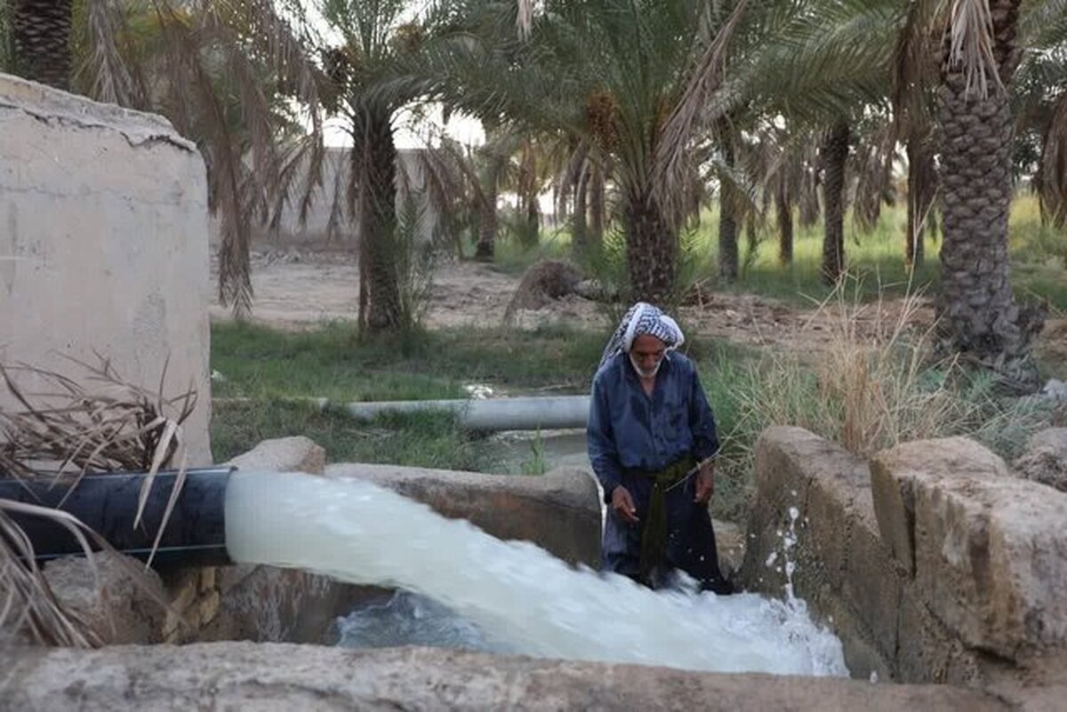 آب به نخلستان‌های شادگان رسید