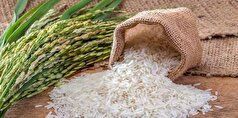 پیش‌بینی ثبات قیمت برنج با همزمانی واردات و برداشت داخلی