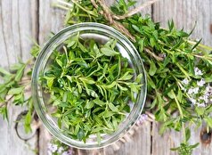مرزه خوزستان آنتی‌اکسیدان و ضدالتهاب طبیعی!