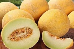 مصرف ملون سرطان زا است؟