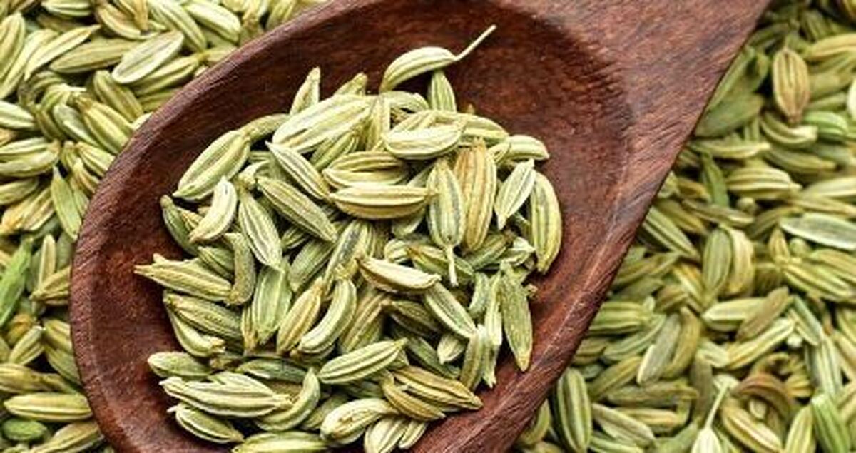 اگر بدنبال کاهش وزن و لاغری بی دردسر و بدون عوارض هستید زیره سبز معجزه‌ای باورنکردنی است