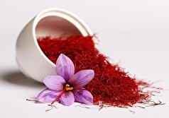 میتوانیم جلوی پیری را بگیریم؟