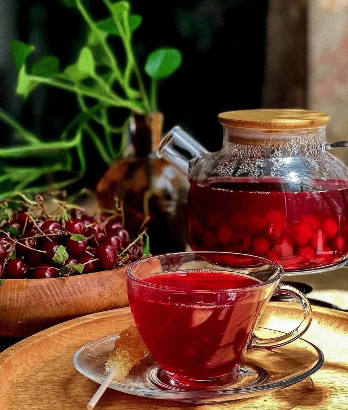 چای آلبالو یک نوشیدنی با طعم تابستانی ویژه