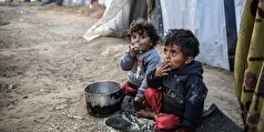 هشدار بیش از ۱۰۰ سازمان بین‌المللی نسبت به تحرکات رژیم صهیونیستی در غزه