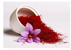 آیا می‌دانستید مصرف زعفران از پیر شدن شما جلوگیری می‌کند؟